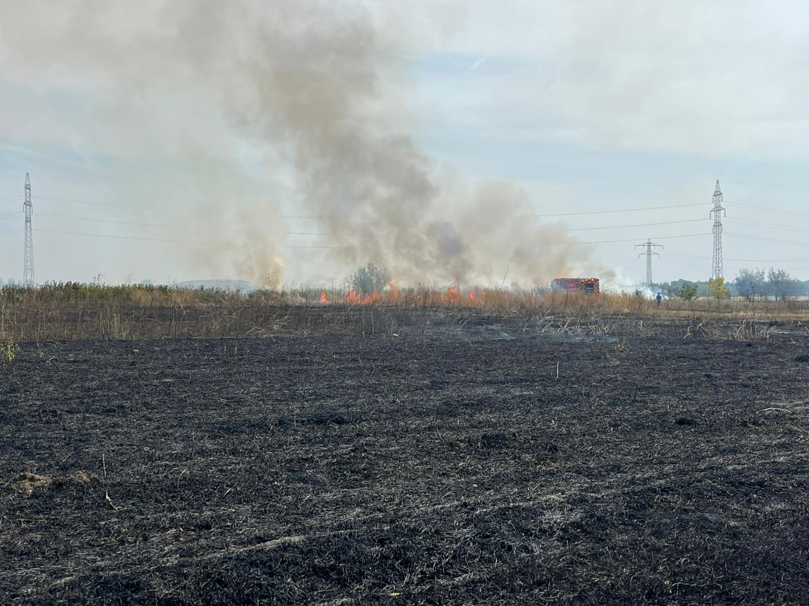 Incendiu de vegetație în satul Săteni, comuna Aninoasa – pompierii au intervenit prompt și au lichidat focul